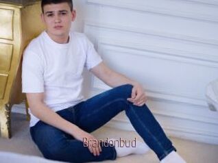 Brandonbud