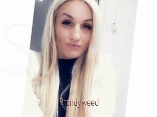 Brandyweed