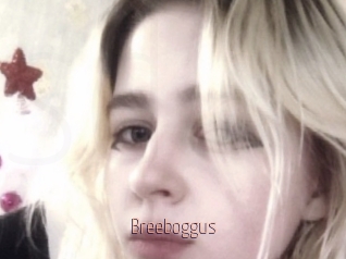 Breeboggus