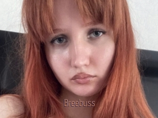 Breebuss