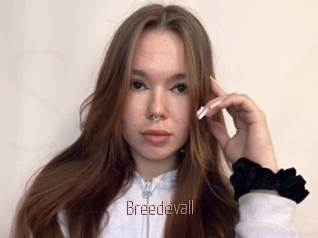 Breedevall