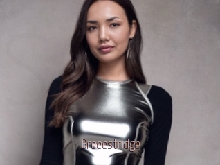 Breeestridge