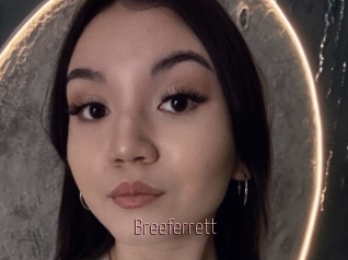 Breeferrett