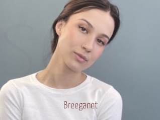 Breeganet