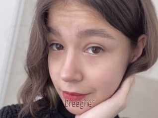 Breegrief