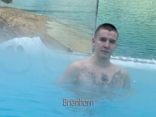 Brianhorn