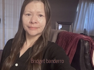 Bridget_banderro