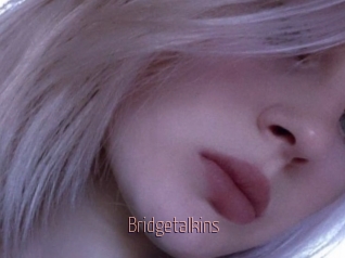 Bridgetalkins
