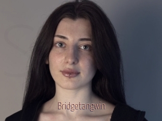 Bridgetangwin