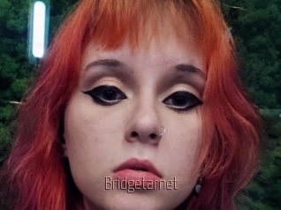 Bridgetarnet