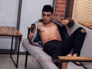Brunhosbigass