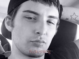 Budkushking