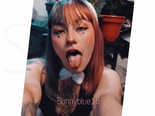 Bunnyblue18