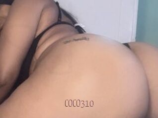 COCO310