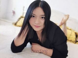 CareyYang