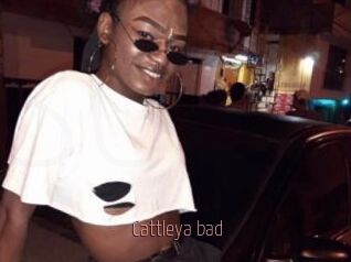 Cattleya_bad