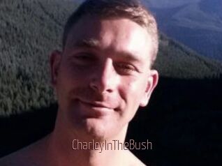CharleyInTheBush