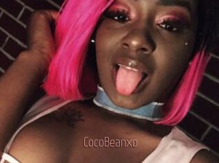 CocoBeanxo