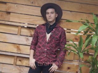 Conall_Hawk