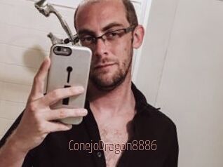 ConejoDragon8886