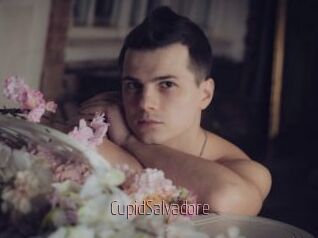 CupidSalvadore