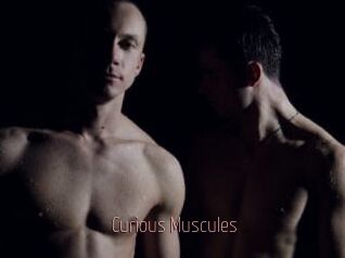 Curious_Muscules