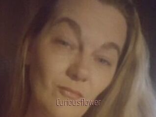 Curiousflower