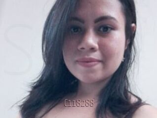 C118288