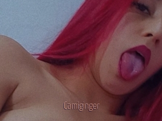 Camiginger