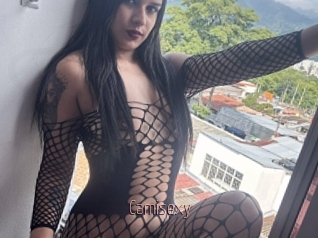 Camisexy