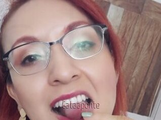 Cataaponte