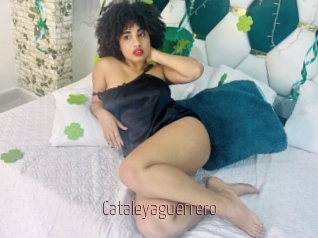 Cataleyaguerrero