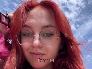 Catecovil