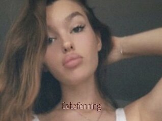 Catefenning