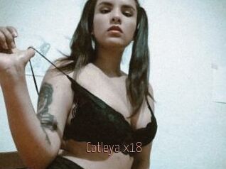 Catleya_x18