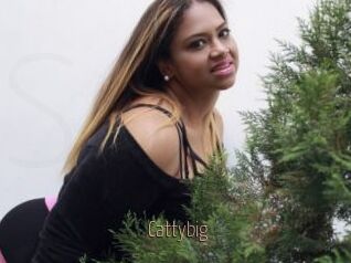 Cattybig