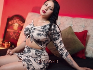 Celestesein