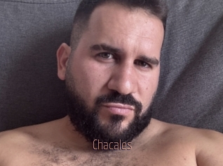 Chacales