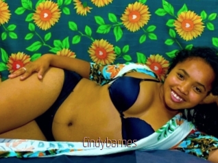 Cindybarnes
