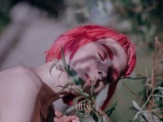 Citty