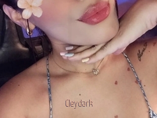 Cleydark
