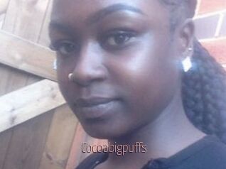 Cocoabigpuffs