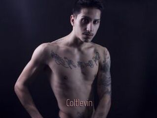 Coltlevin