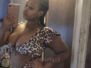 Curvybunny19