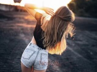 DaisyColle