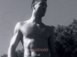 Davidmodel