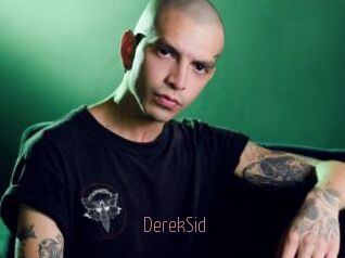 DerekSid