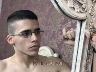 DominicSullivan