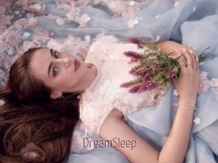 DreamSleep