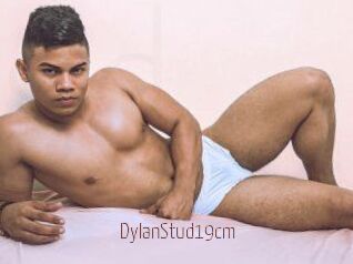 DylanStud19cm